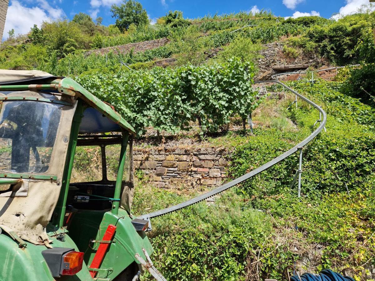 Hotel Weingut Haxel Cochem Exterior foto